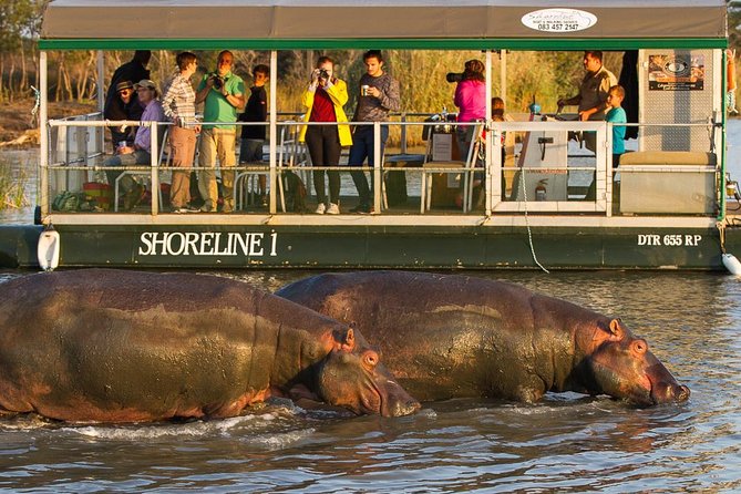 Shoreline Hippo and Crocodile Boat Cruises, Isimangaliso Wetland Park - Highlights of the Cruise