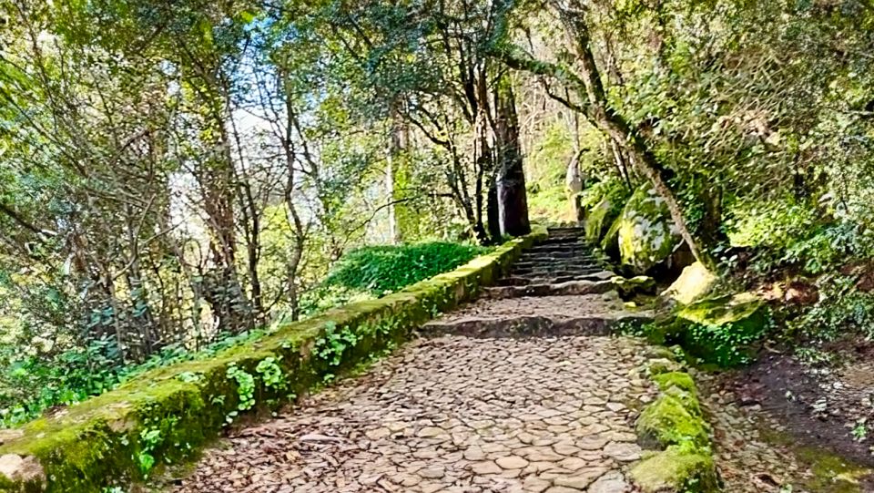 Sintra: Adventure Hike Around Sintras Most Popular Castles - Itinerary Highlights