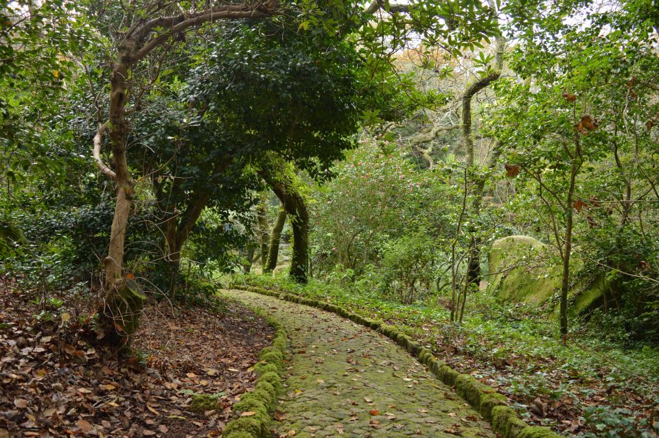 Sintra: Hike & History Private Tour Incl. Pena & Regaleira - Itinerary and Highlights