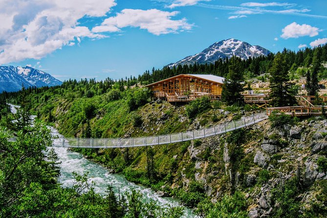 Skagway Shore Excursion: Half-Day Tour to the Yukon Border and Suspension Bridge - Itinerary Highlights