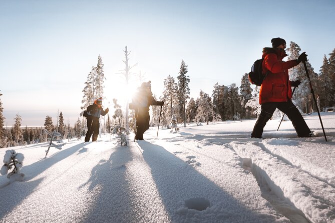 Ski Trekking Safari in Lapland - Meeting Point and Pickup Arrangements