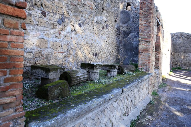 Skip-the-line Exclusive Private Full-Day Complete Ancient Pompeii Guided Tour - Tour Highlights