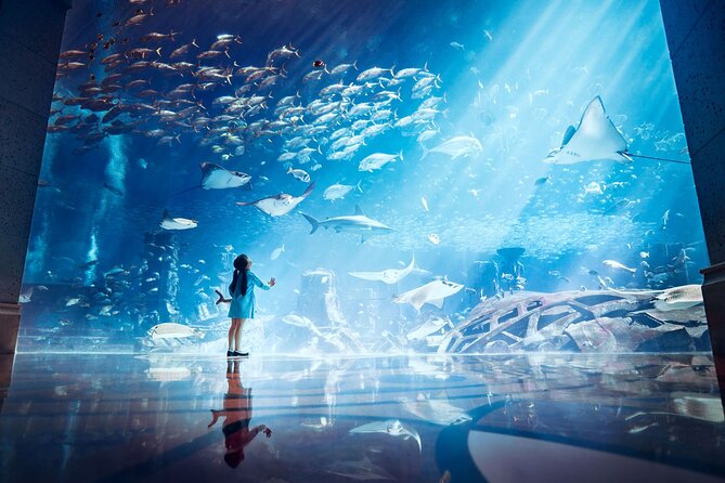 Skip the Line: Lost Chambers Entry at Atlantis The Palm Ticket - Themed Aquarium Chambers and Exhibits