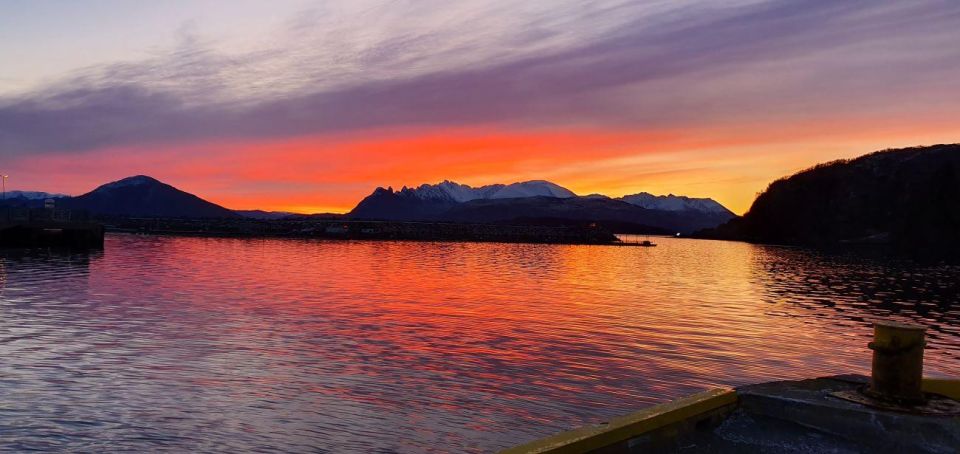 Skjervøy: Fjord Charter Adventure - Exploring Arctic Wonders