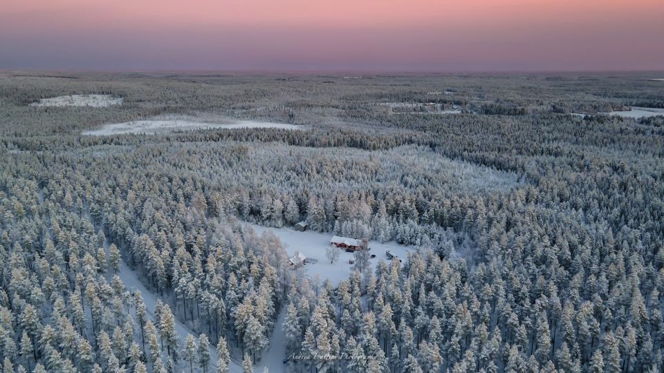 Sleddog Husky Safari Including a Hot Drink - Highlights of the Experience