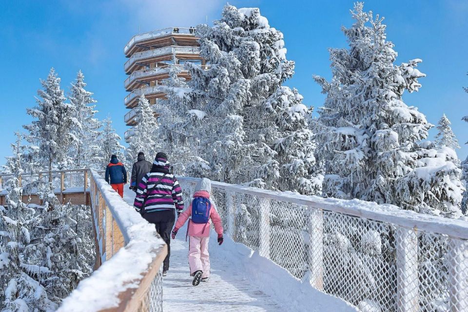 Slovakia: Treetop Walk & Thermal Baths From Krakow - Pricing