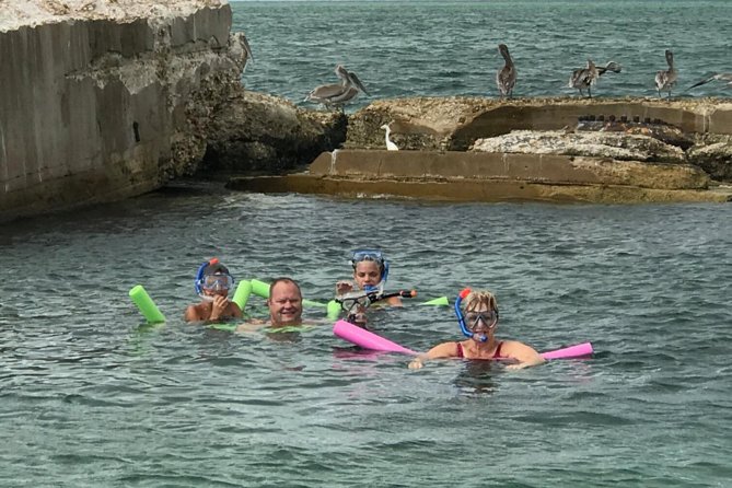 Small Group 2 Hour Dolphin Cruise With Snorkeling to Shell Key - Tour Logistics