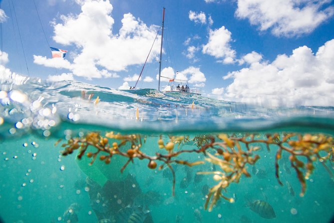 Small-Group Cruising and Snorkeling Catamaran Tour - Meeting and Pickup Arrangements