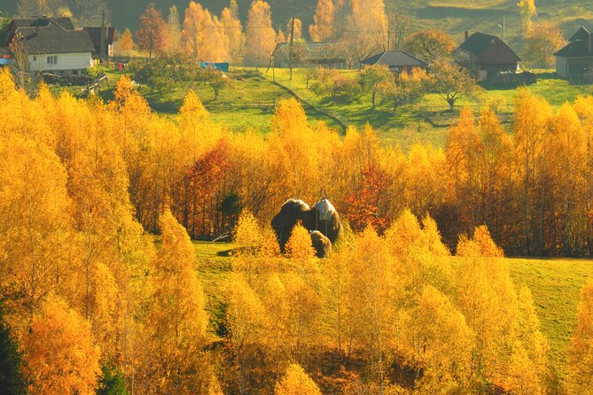 Small-Group Day Trip in Romanian Authentic Mountain Villages From Brasov - Explore Piatra Craiului National Park