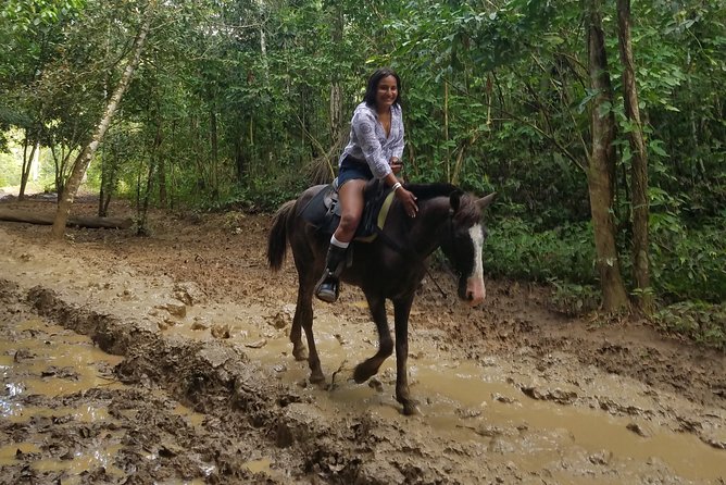 Small-Group Half-Day Horseback Riding Tour From Punta Cana - Tour Experience