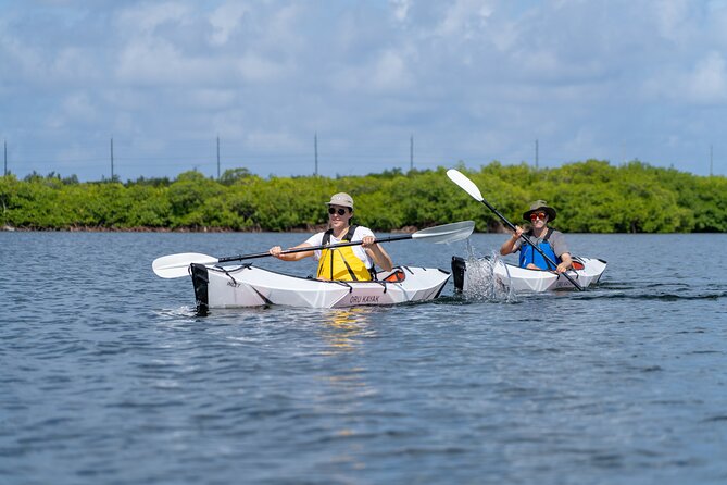 Small Group Kayak Adventure in the Cayman Islands - Meeting and End Points