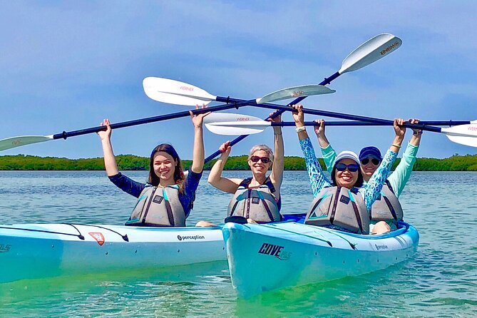 Small Group Kayak Tour of the Shell Key Preserve - Wildlife Sightings