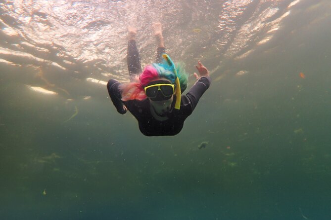 Small Group Manatee Swim Tour With In Water Guide - Inclusions and Duration