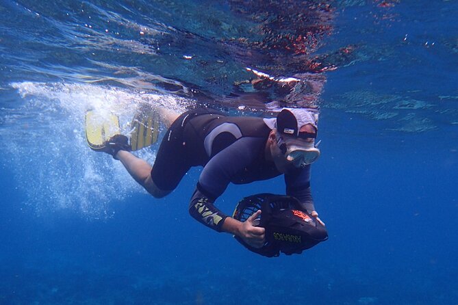 Small-Group Sea Scooters Snorkel at Mangel Halto Beach in Aruba - Included in the Tour