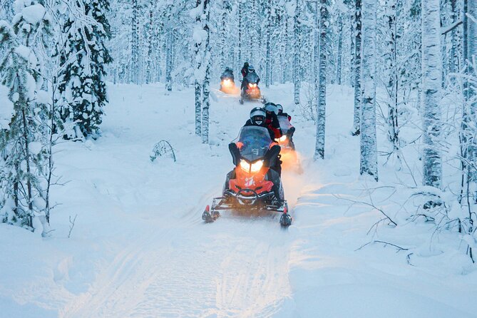 Small-Group Snowmobile Experience in Rovaniemi - Inclusion Details