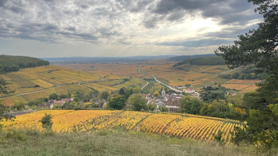 Small Group Tour Morning in Cote De Beaune - Tour Highlights