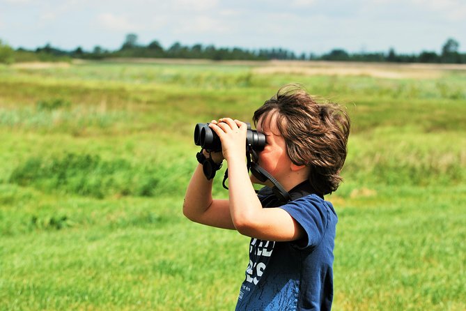 Small Group Tour to NP Hoge Veluwe (Van Gogh) From Amsterdam - Accessibility Information