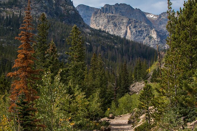 Smartphone Audio Driving Tour Between Lake Louise and Revelstoke - Accessibility and Accommodations