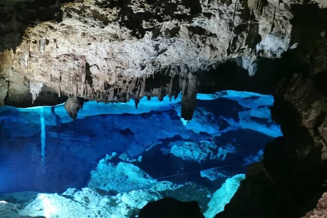 Snorkeling in the Cenotes of Bayahibe - Included Services