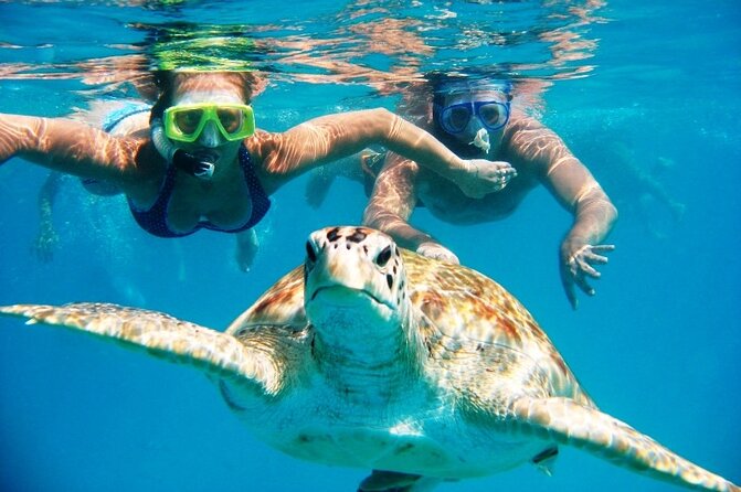 Snorkeling With The Turtles - Included Amenities