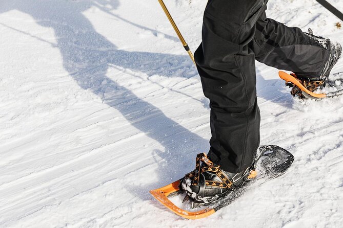 Snowshoe Tour in Winter Wonderland - Oslo - Meeting Point and Duration