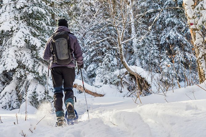 Snowshoeing Tour in Jacques-Cartier National Park - Cancellation Policy