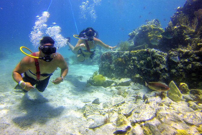 Snuba Adventure at Coral World Ocean Park - Guided Snuba Tour Experience