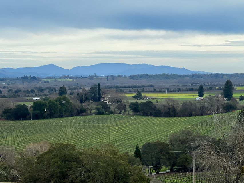 Sonoma Wine Rides: Join in Small Group Wine Tasting Tours - Inclusions