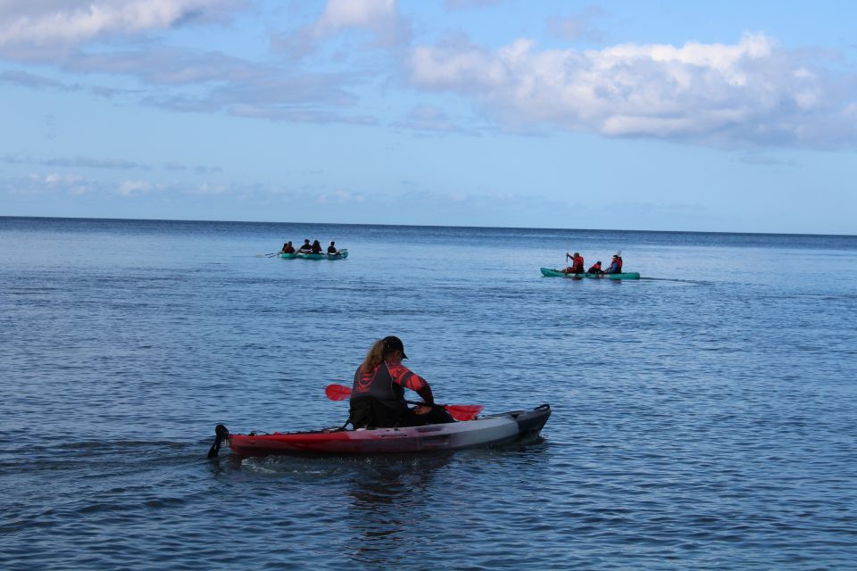 South Maui: Auau Channel Kayak and Snorkel Adventure - Experience Highlights