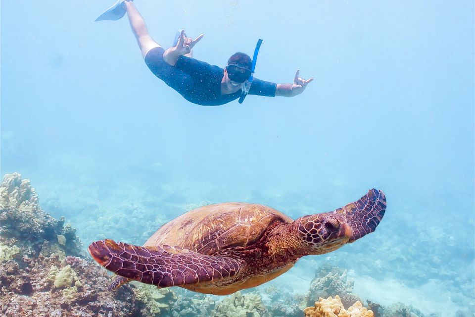 South Maui: Molokini Snorkeling Adventure - Boat Features