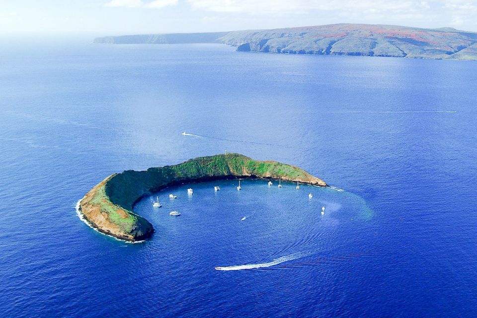 South Maui: Molokini & Turtle Town Snorkeling Tour With Meal - Inclusions