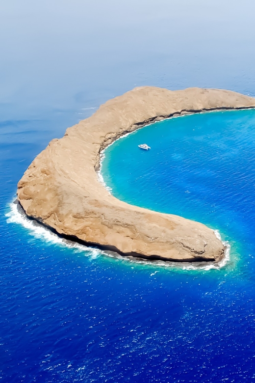 South Maui: Molokini Wild Eco Adventure From Maalaea Harbor - Itinerary and Highlights