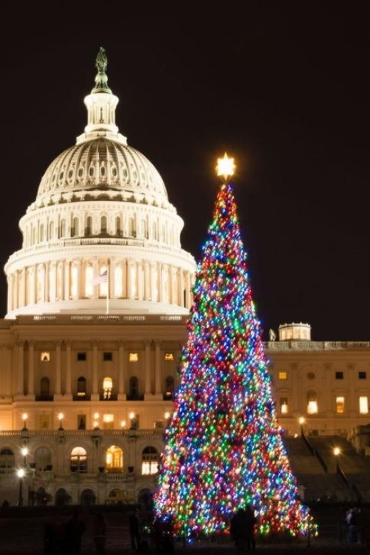 Special Christmas Tour in Washington - Pricing Details