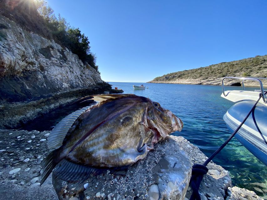 Split: Half-Day Fishing Tour to Drvenik and Solta Island - Booking Information