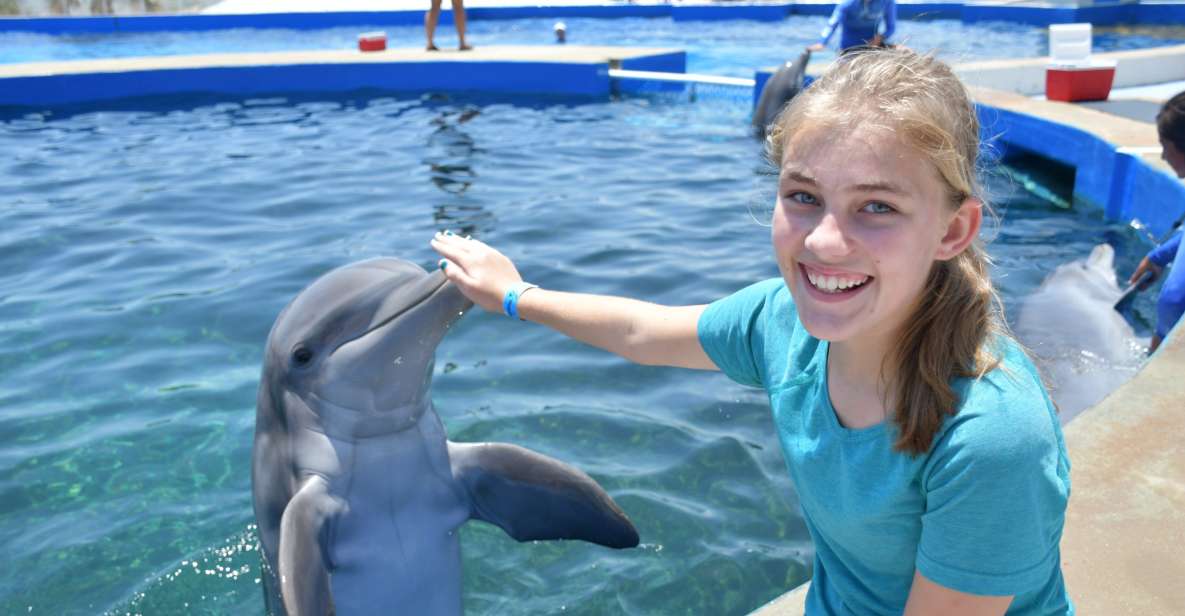 St. Augustine: Marineland Dolphin Meet & Greet - Interaction Details