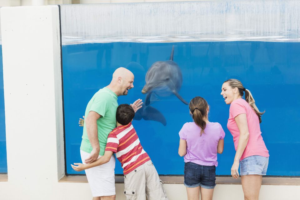 St. Augustine: Marineland Park Admission Ticket - Experience Highlights