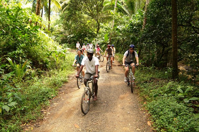 St Lucia Bike and Hike - Whats Included