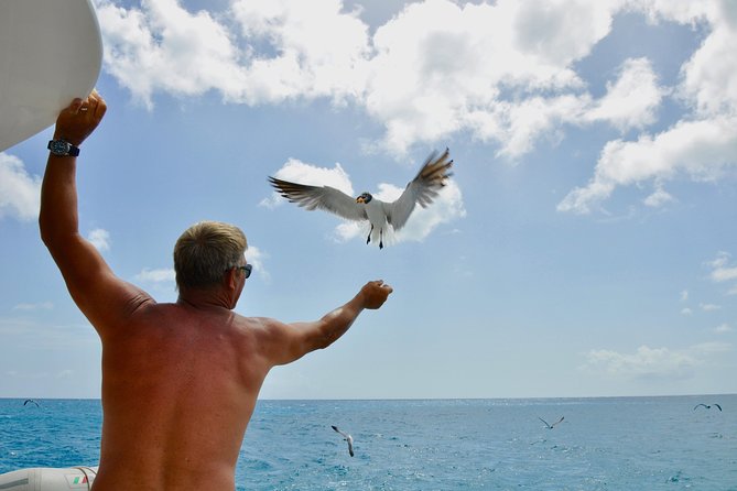 St. Maarten: Fun in the Sun Catamaran Day Trip - Inclusions and Whats Provided