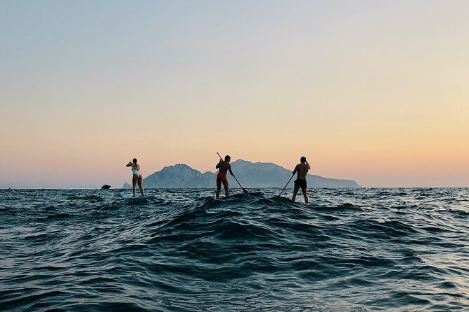 Stand Up Paddle Experience - Sorrento Coast - Tour Details