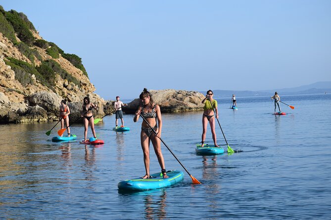 Stand Up Paddle With Dolphins - Exploring the Coastline