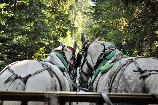 Stanley Park Horse-Drawn Tour - Activities Included