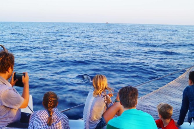 Sunrise Boat Trip in Mallorca With Dolphin-Watching - Whats Included in the Excursion