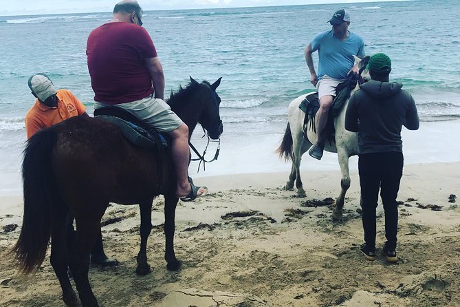 Sunset Beach Horsebackriding Punta Cana - Horseback Riding on the Beach