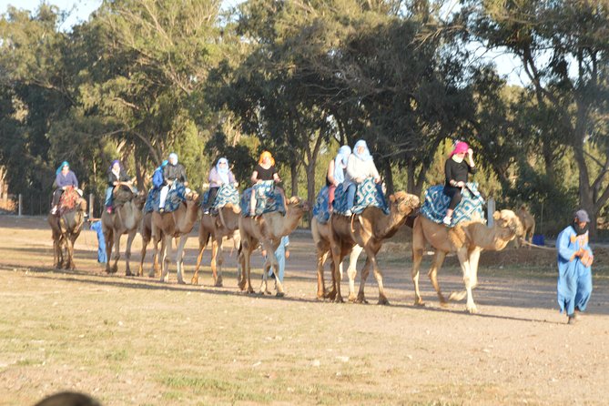 Sunset Camel Ride in Agadir With Transport, Tea and Cakes. - Pickup and Drop-off Details