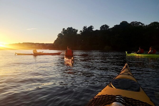 Sunset Kayak Tour in Central Stockholm and Swedish Fika - Inclusions