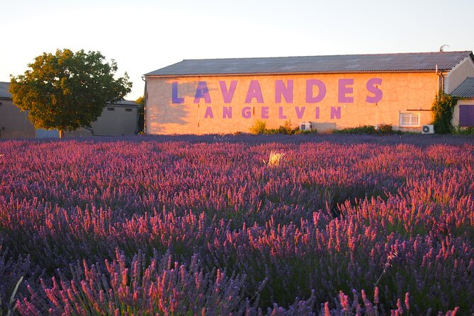 Sunset Lavender Tour From Aix-En-Provence - Meeting and Pickup