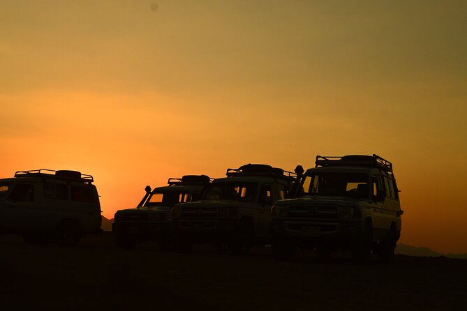 Sunset Safari Trip by Jeep - Bedouin Cultural Immersion