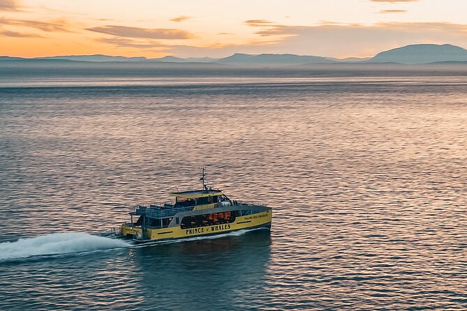 Sunset Whale Watching Adventure From Vancouver - Tour Highlights