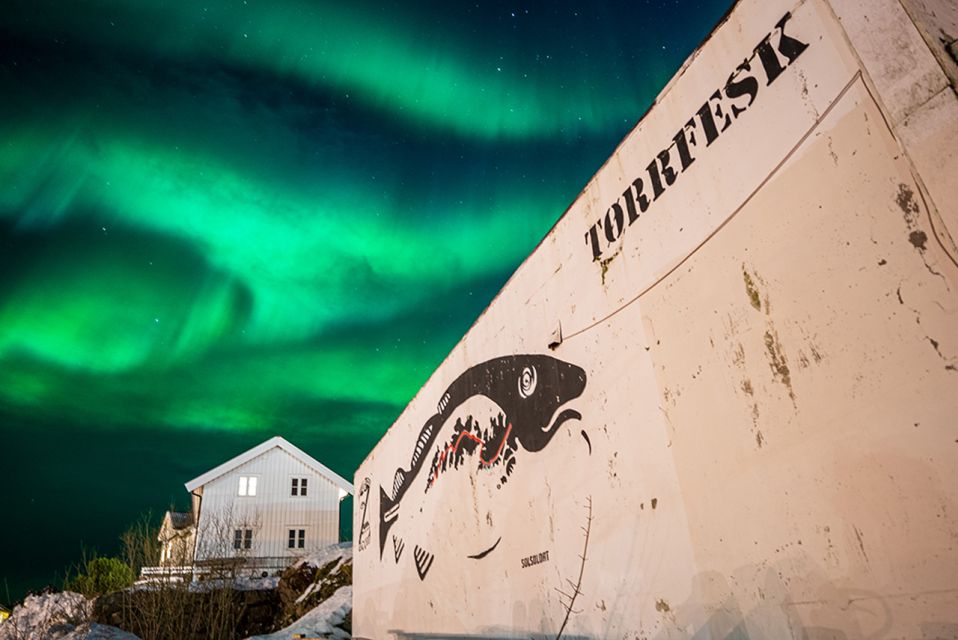 Svolvær's: Lofoten Northern Lights Hunt by Van With Snacks - Highlights of the Experience