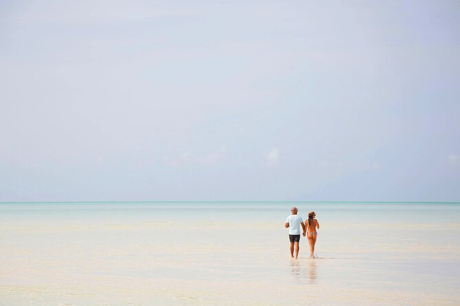 Swim With the Pigs! Half Day Harbour Island Private Boat Tour - Tour Details